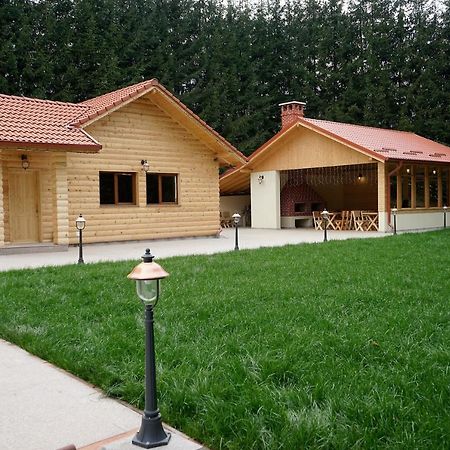 Pensiunea Floarea De Colt Nucşoara Extérieur photo