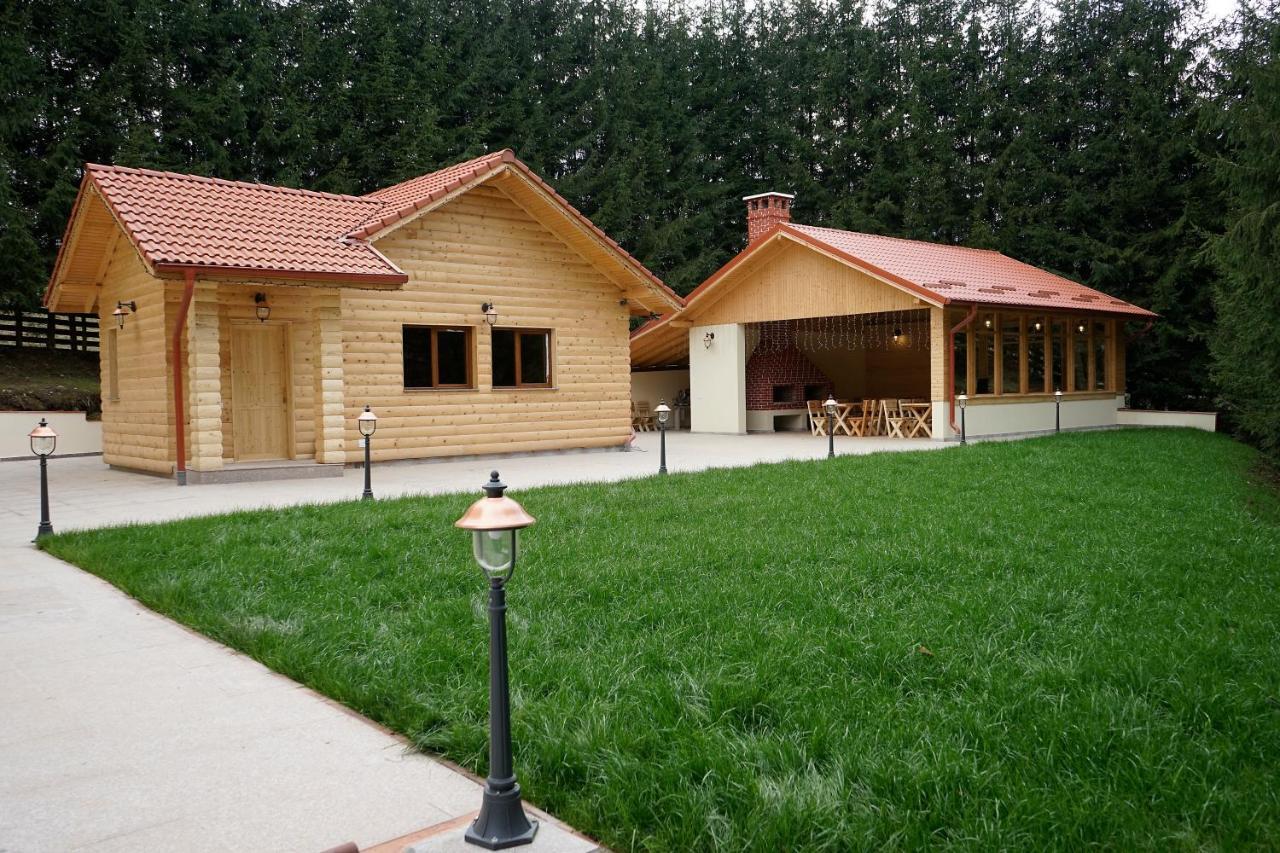 Pensiunea Floarea De Colt Nucşoara Extérieur photo